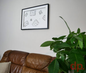 find_your_tribe_ants_dieterPeters_wireants