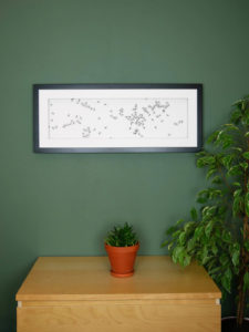 shake_ants_wireants
