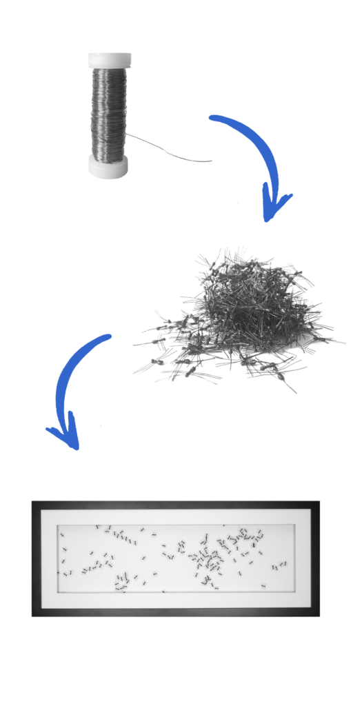 Prozess_wireants_